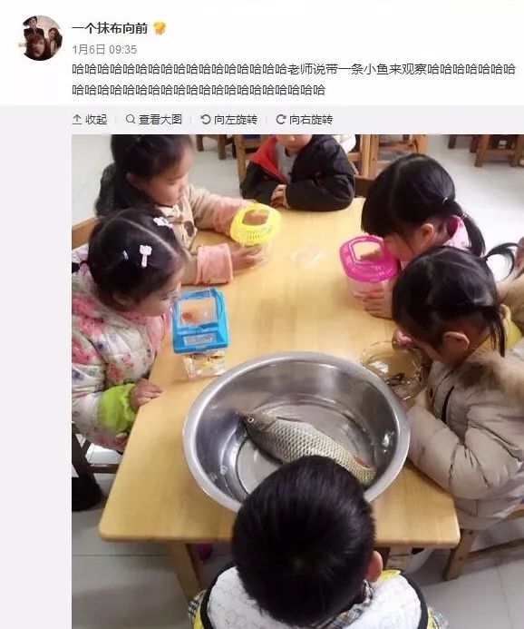 猫狗营养主食,猫狗通用营养系列