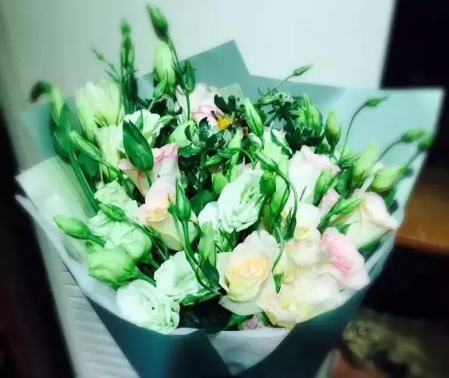 在贵州做个花房姑娘，打发慵懒时光！