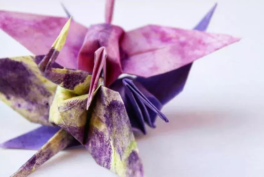 他用3个月时间，折叠了1000只千纸鹤，送给了他最亲爱的姑娘