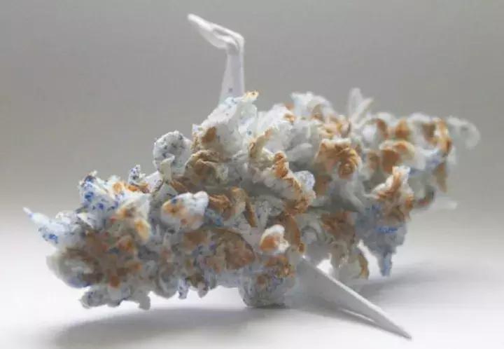 他用3个月时间，折叠了1000只千纸鹤，送给了他最亲爱的姑娘