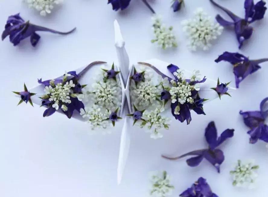 他用3个月时间，折叠了1000只千纸鹤，送给了他最亲爱的姑娘