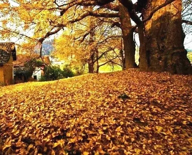 南国里的冰雪童话——连州