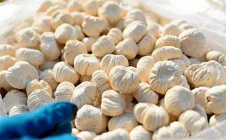 今天第一场雪视频,今天的第一场雪视频