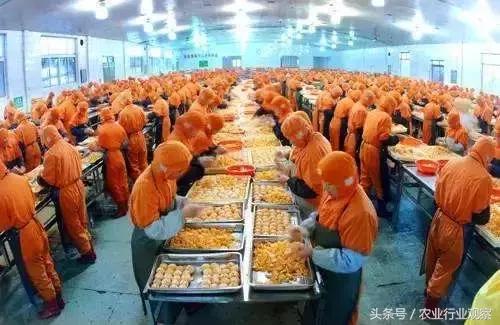 农业已成创业风口!2018年迎来6大农业红利