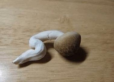 为什么大姨妈没了就不能怀孕了,为什么没来大姨妈也会怀孕