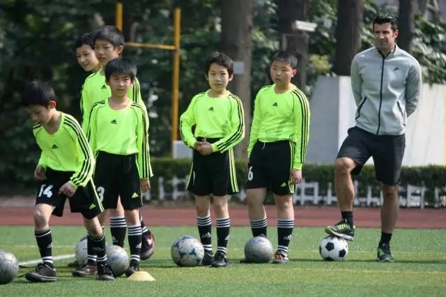 胜利联盟多地院校停课、负责人消失,火热体育培训迎来严峻挑战