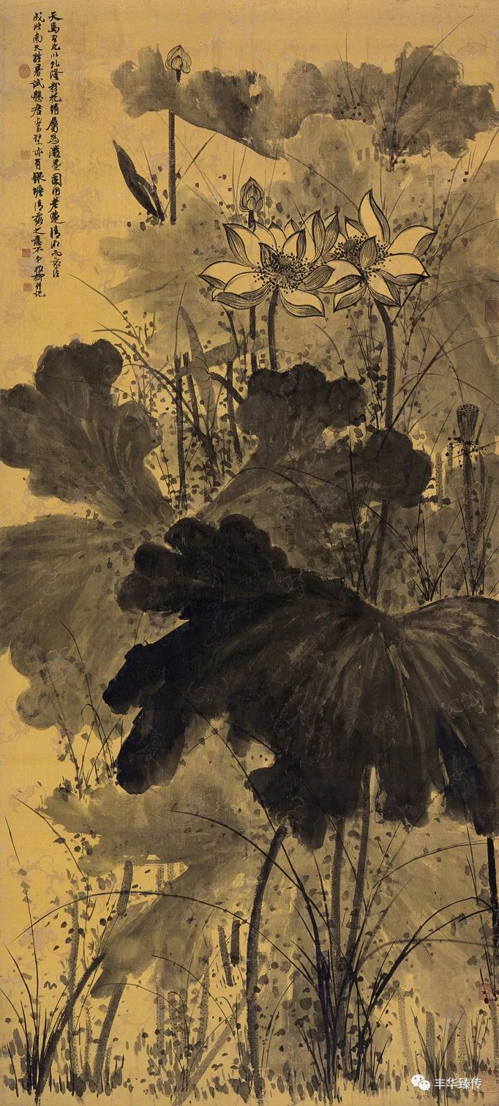 中国嘉德最新征集,中国嘉德第53期