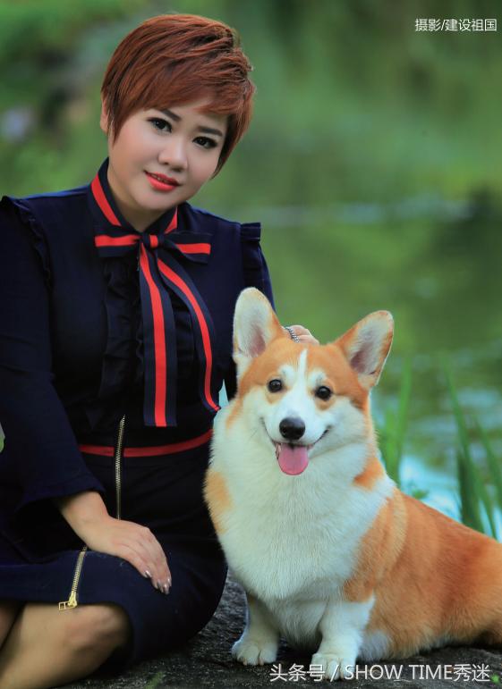 我和我的柯基犬王国