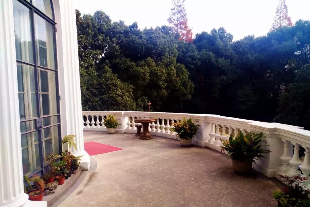 辞职去流浪的歌曲,辞职做歌手