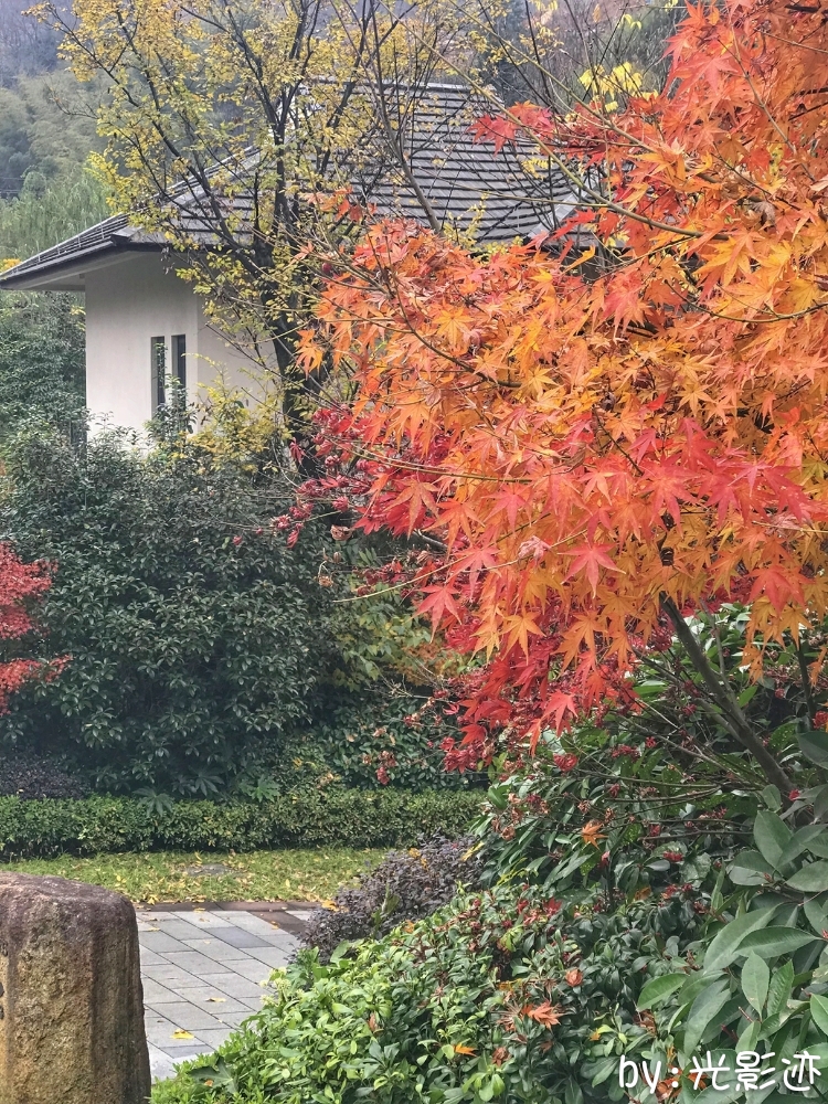 临安众安湍口氡温泉官网,杭州临安湍口众安氡温泉滑雪