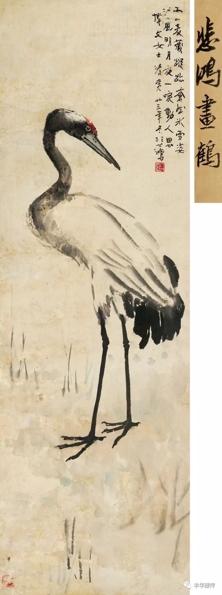 中国嘉德最新征集,中国嘉德第53期