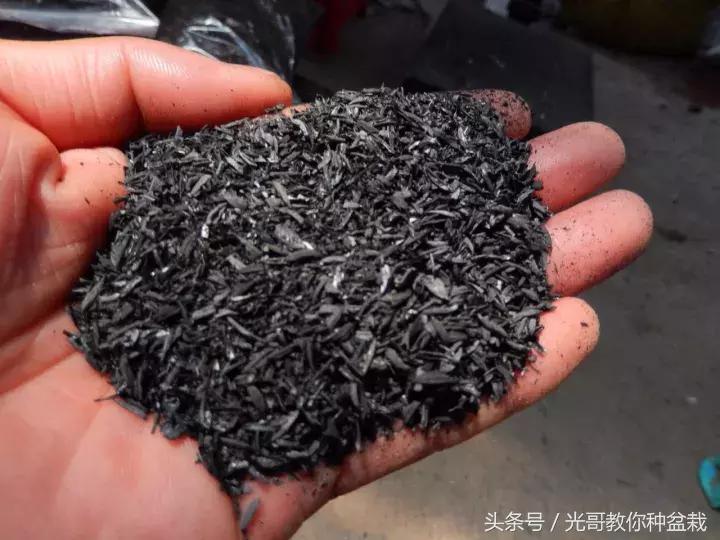 花盆长虫用什么来杀虫,花盆里常见十种虫子