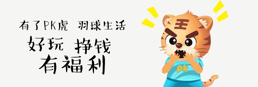 专业直拍十大经典球拍,近期最火的球拍