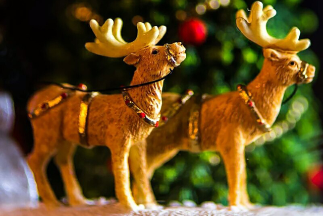 圣诞节,请送我一个八音盒