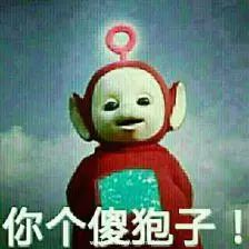 猫狗营养主食,猫狗通用营养系列