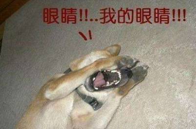 开场20分钟，这部动漫的男主被人爆头而死