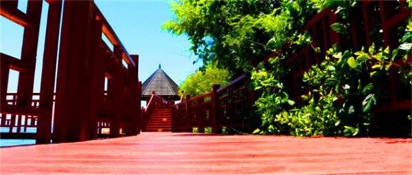 北纬18度温暖的冬季三亚之旅,北纬18度三亚旅游