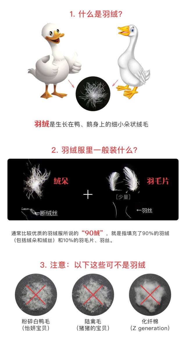 儿童羽绒服小窍门大全图,儿童羽绒服好看又保暖有哪些