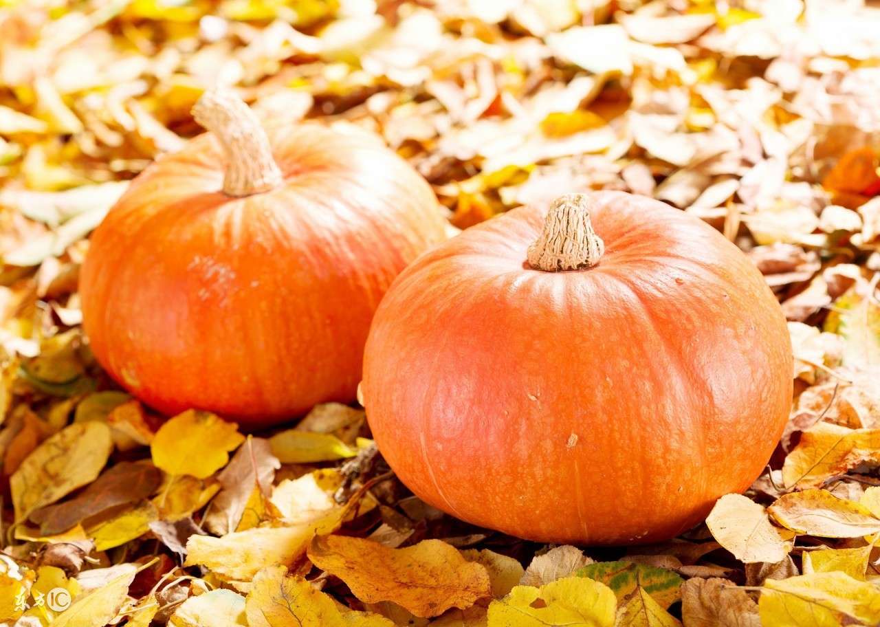 豆浆一起喝会有什么效果,膝盖疼痛可以吃豆浆吗