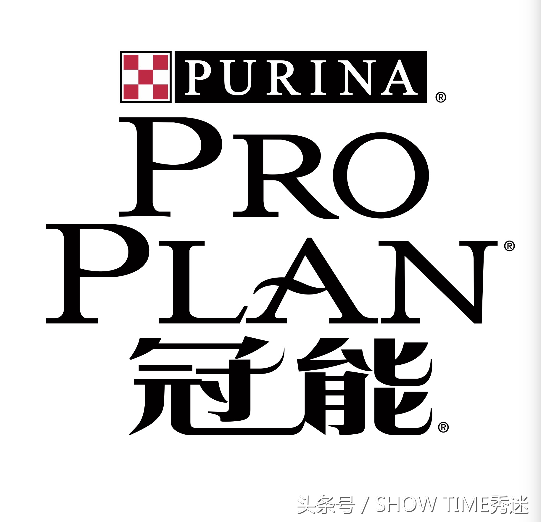 我和我的柯基犬王国