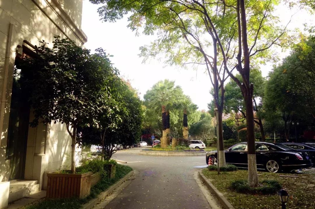 辞职去流浪的歌曲,辞职做歌手