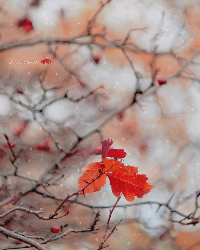 栗子姐情感专访,栗子姐每日情感问答视频