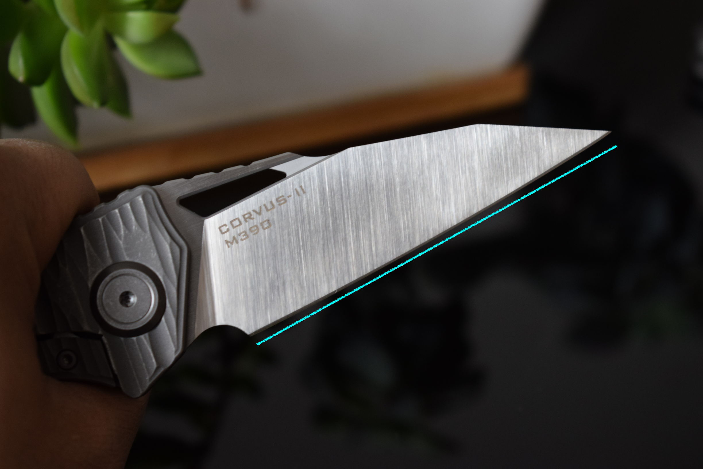 渡鸦来袭第三代升级款maxace,maxace渡鸦一代