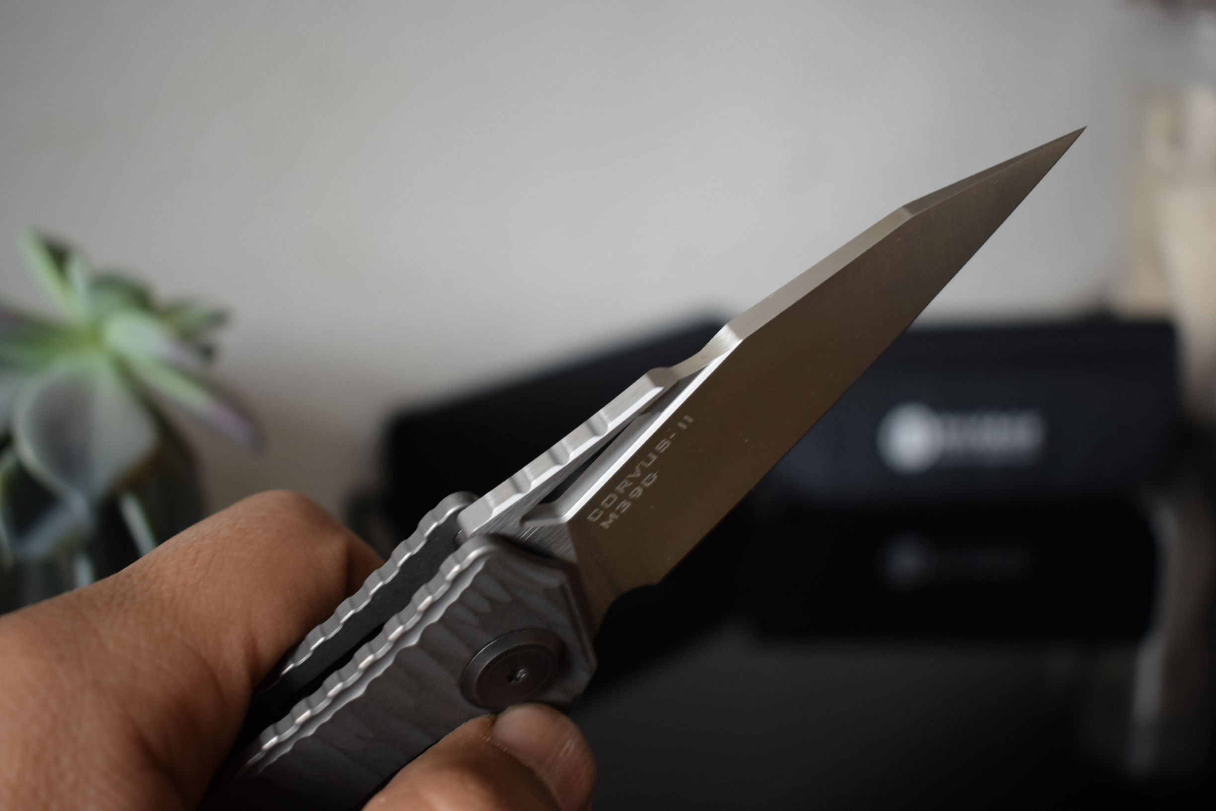 渡鸦来袭第三代升级款maxace,maxace渡鸦一代