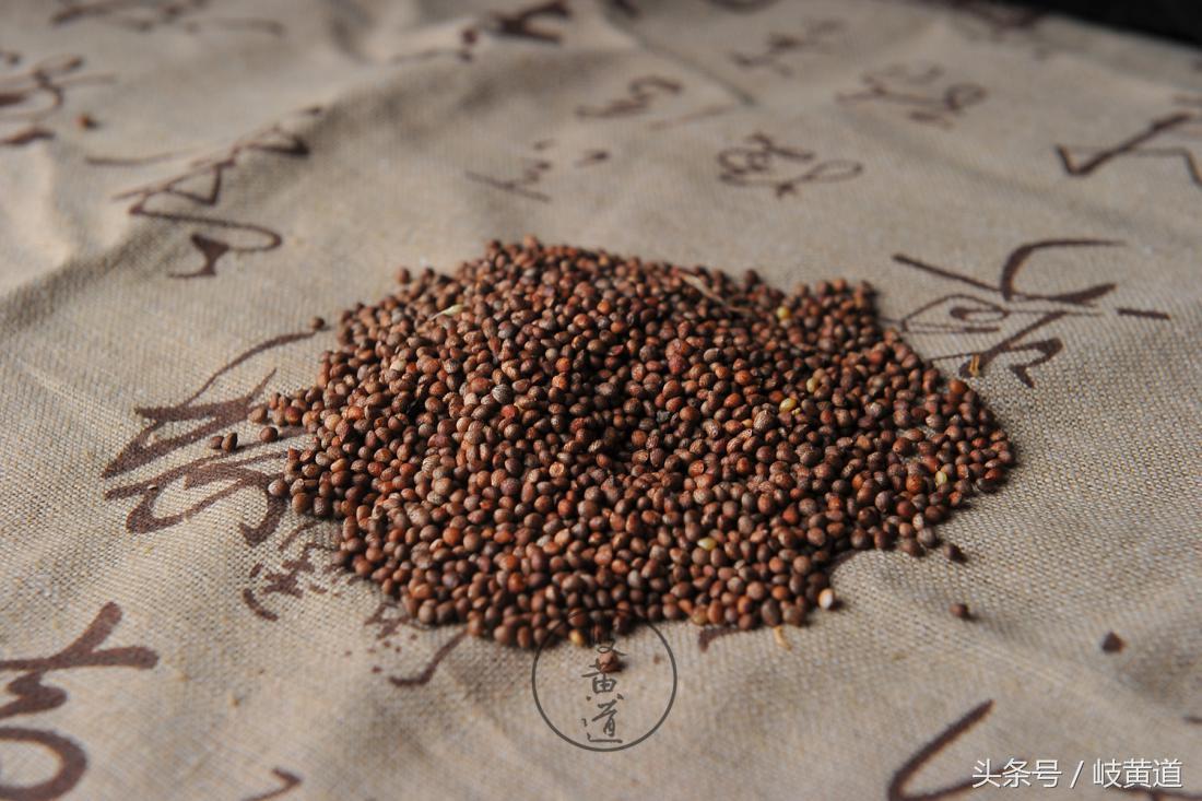 1种常见的紫色植被，竟是可解鱼蟹中毒中药