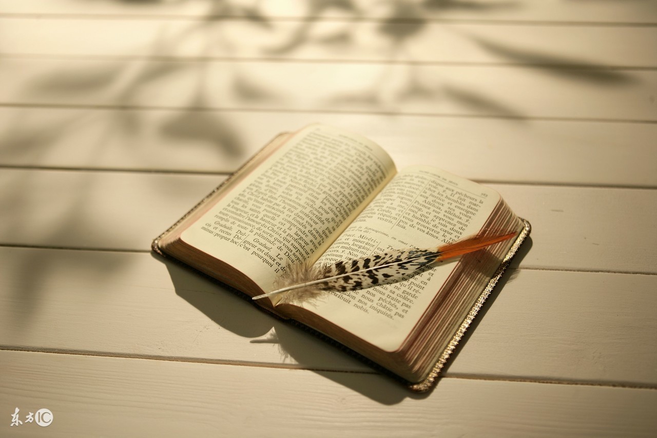 适合发朋友圈的日常生活语录,最适合发朋友圈的心灵感悟