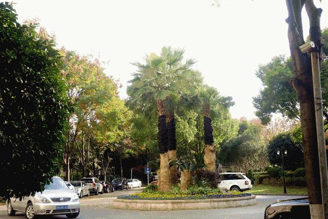 辞职去流浪的歌曲,辞职做歌手