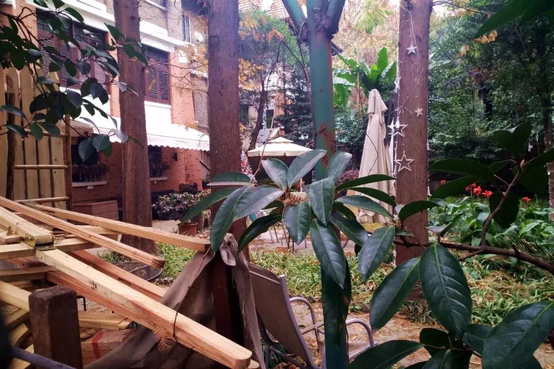 辞职去流浪的歌曲,辞职做歌手