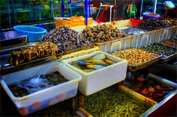 北纬18度温暖的冬季三亚之旅,北纬18度三亚旅游