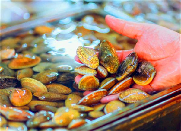 北纬18度温暖的冬季三亚之旅,北纬18度三亚旅游