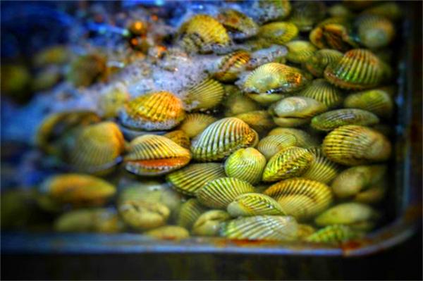 北纬18度温暖的冬季三亚之旅,北纬18度三亚旅游