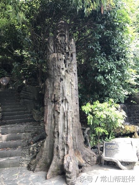 今年开化根宫佛国开化人免门票吗,衢州市开化根宫佛国文化旅游景区