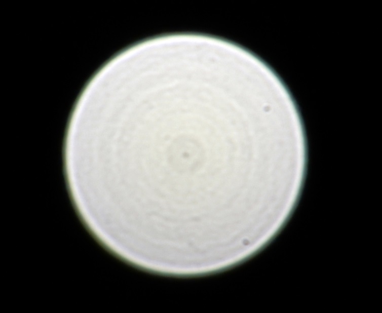 索尼fe24105,索尼fe24mmf1.4gm镜头评测