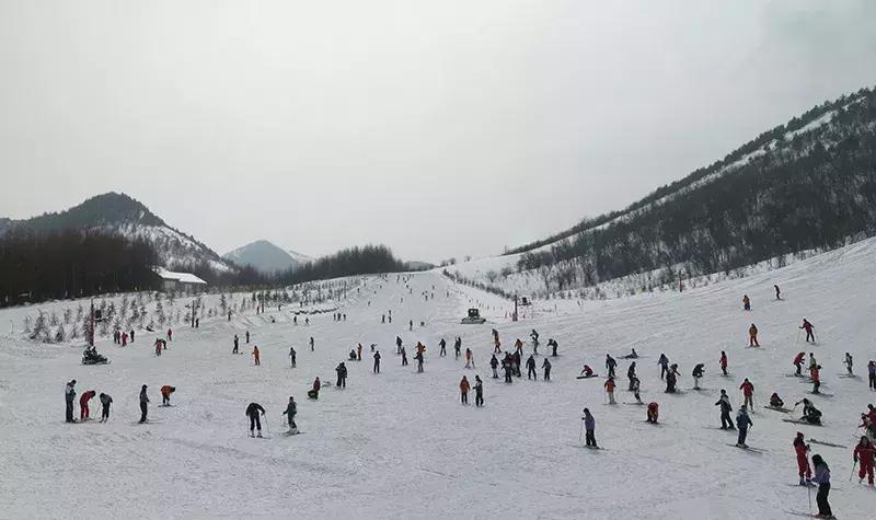 湖北最好的滑雪场,湖北省主要有哪几个滑雪场
