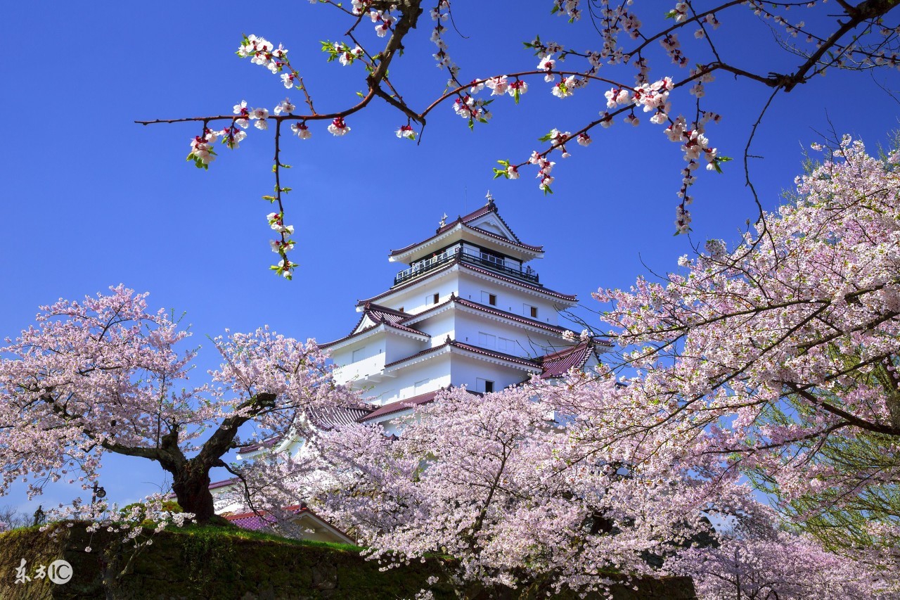 外国的“和尚”会念经?思瑞明告诉你“年轻人就该多换生活方式”