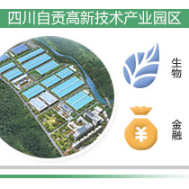 自贡投资可行性报告,自贡沿滩高新科技产业园