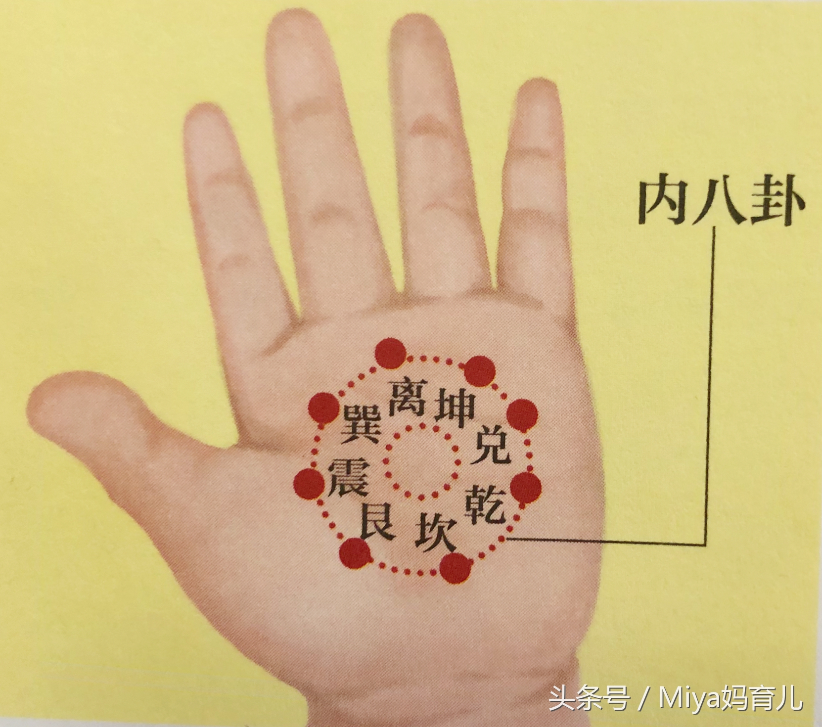 小儿推拿腹痛呕吐,腹痛肚胀小儿推拿