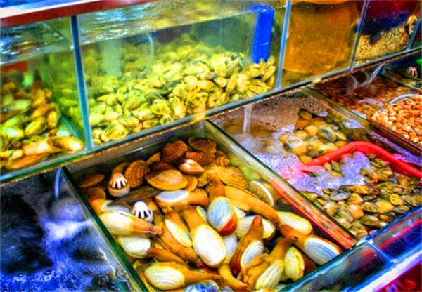 北纬18度温暖的冬季三亚之旅,北纬18度三亚旅游