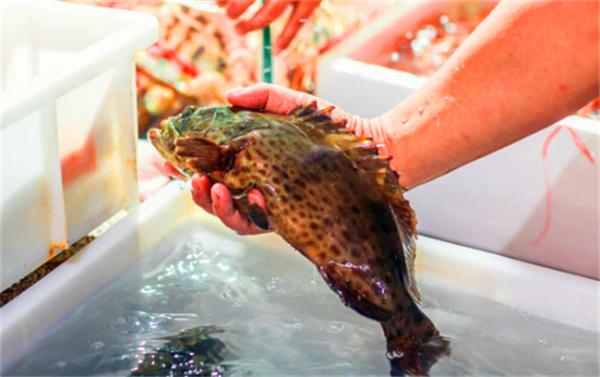 北纬18度温暖的冬季三亚之旅,北纬18度三亚旅游