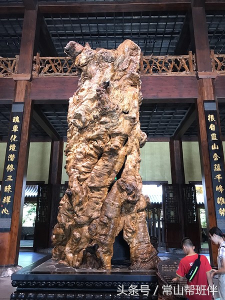 今年开化根宫佛国开化人免门票吗,衢州市开化根宫佛国文化旅游景区