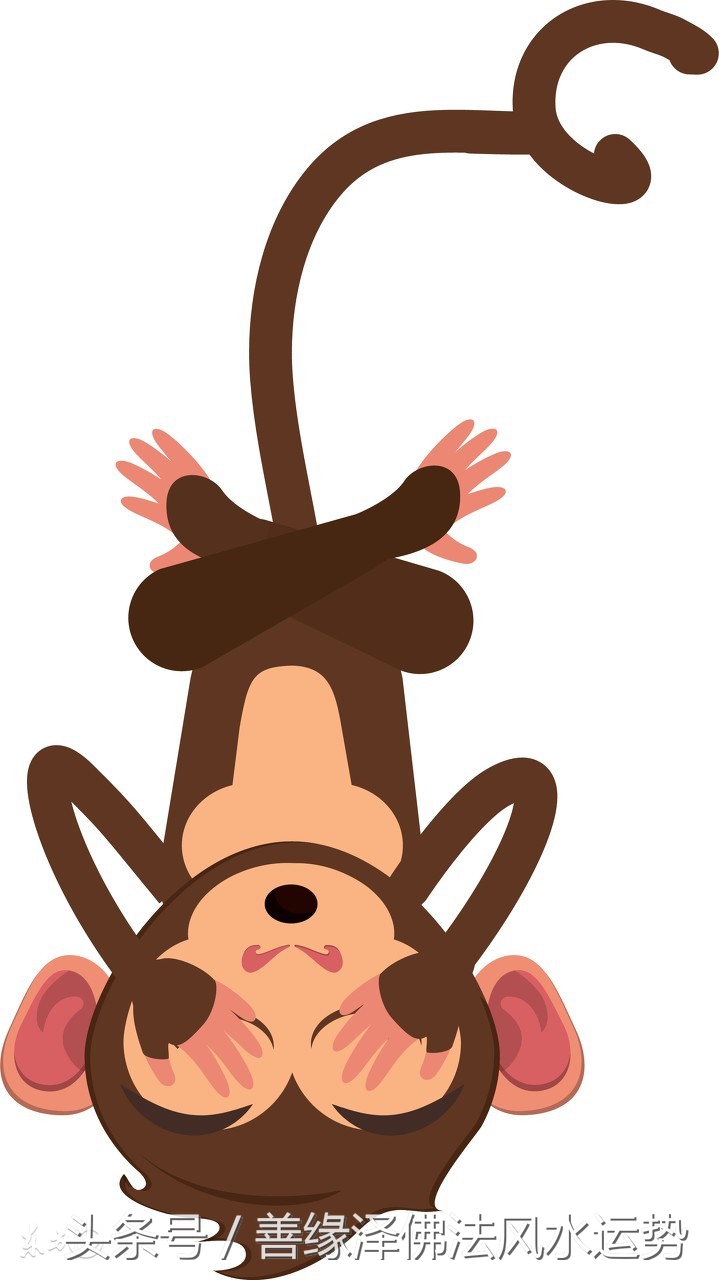 十二生肖今年的财运和运势如何啊,2018生肖财运大解析