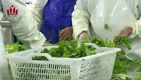 一份完整的学校食堂调查问卷,一份有关食物的问卷调查