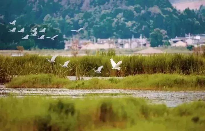 腾冲航线,2023年腾冲直飞航线