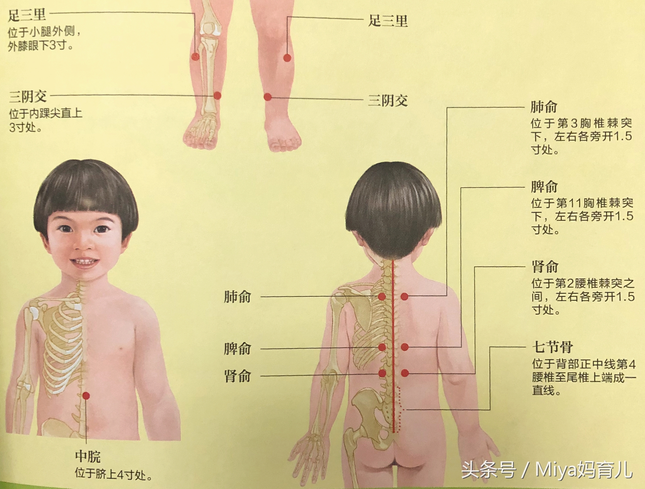 小儿推拿湿疹的调理,小儿推拿湿疹的正确手法视频