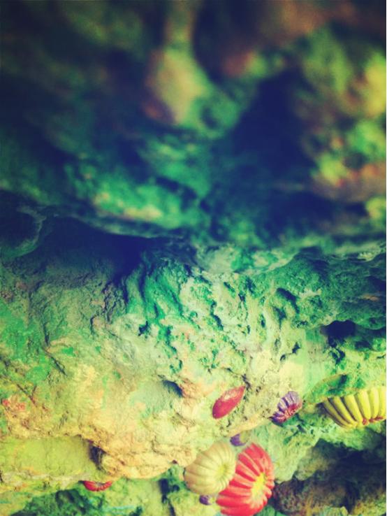 热高海底两万里攻略,海底两万里B1层游玩攻略