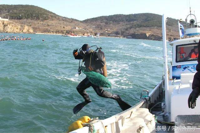 在水下捞海参视频,潜水员捞海参能下潜多少米